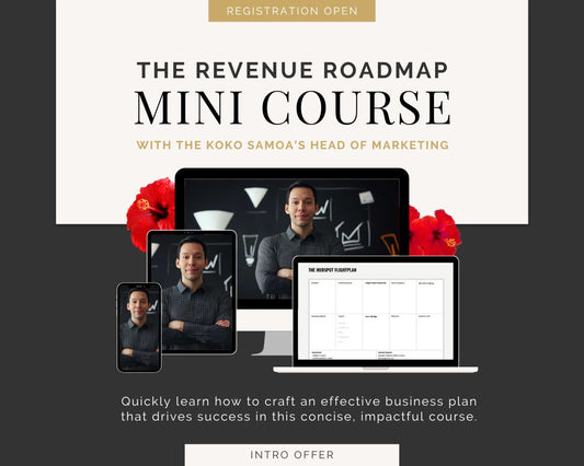 Mini Course: Unlock Your Business's Revenue Potential with The Revenue Roadmap