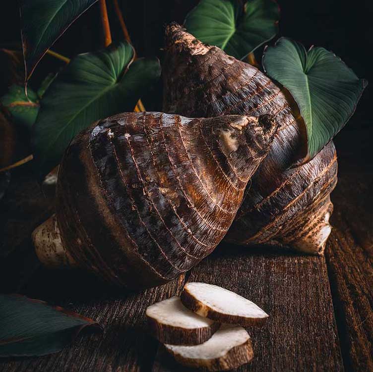 E-Book cover for Samoan Delights: Samoan Recipes Cookbook Vol 1 by The Koko Samoa, featuring traditional Samoan dishes.